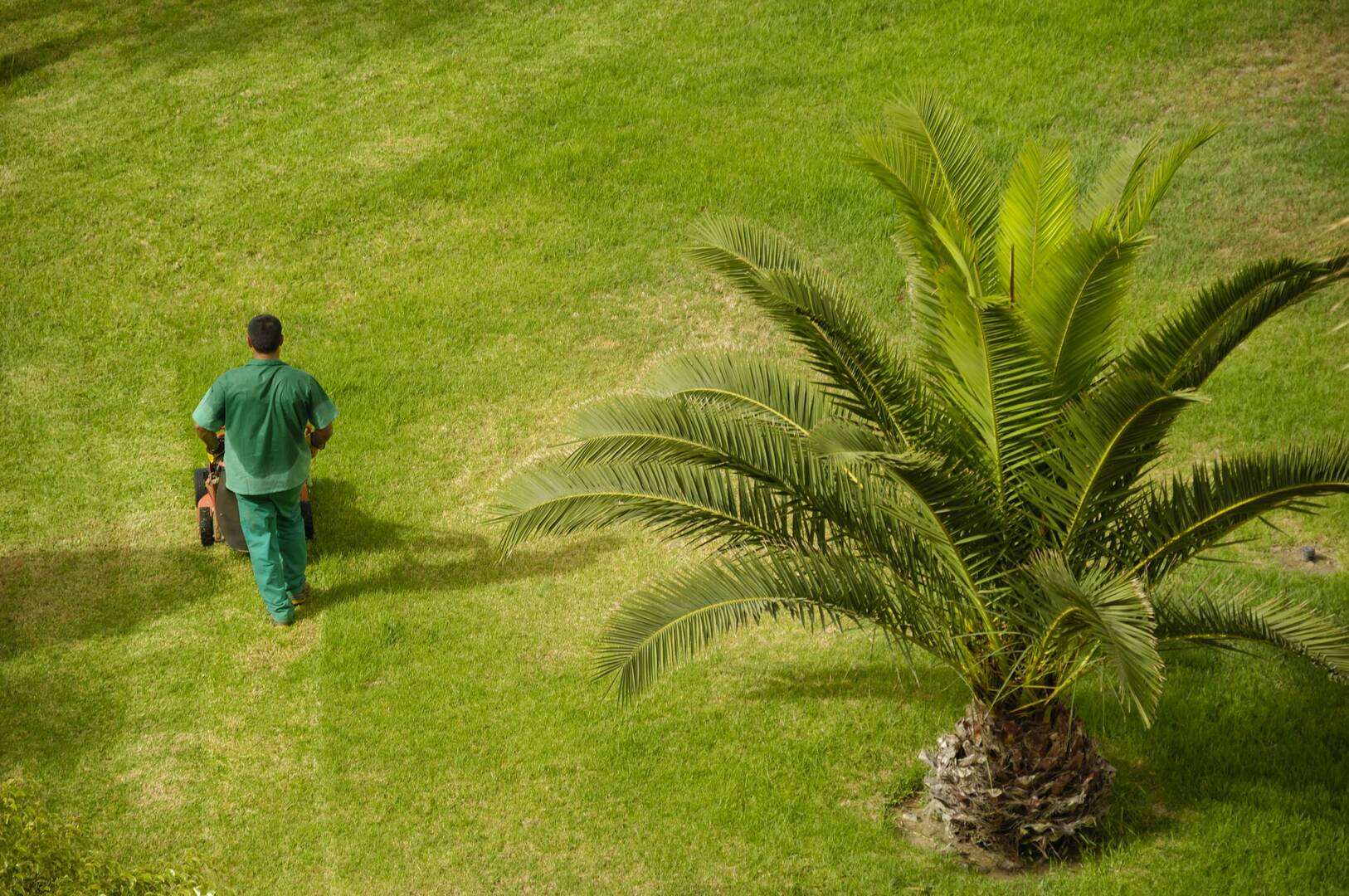 Regal Pest Management