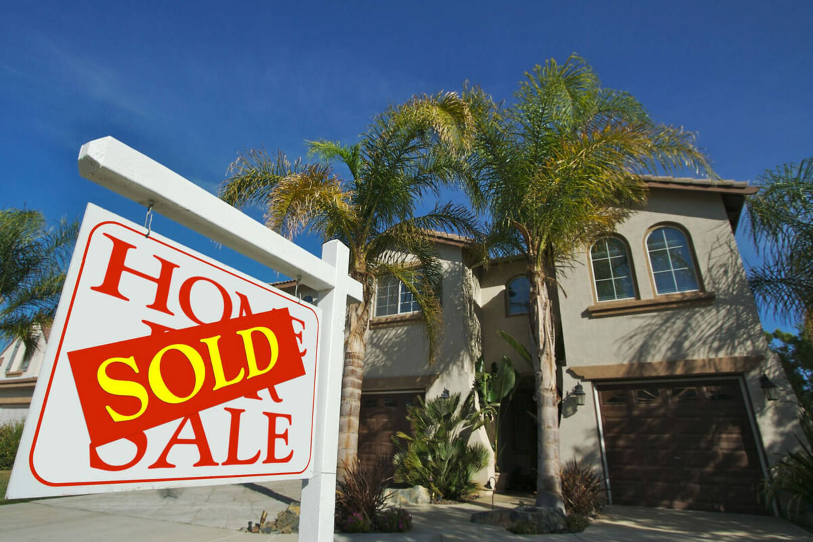 Lynn LeMaster, Broker Associate/REALTOR