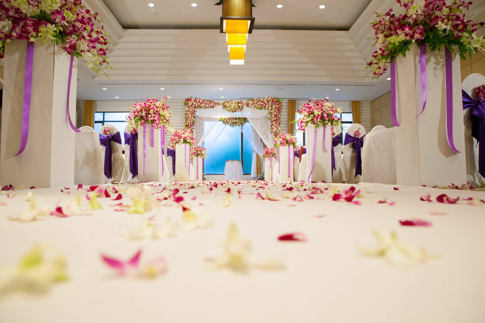 Amazing Celebrations & Events